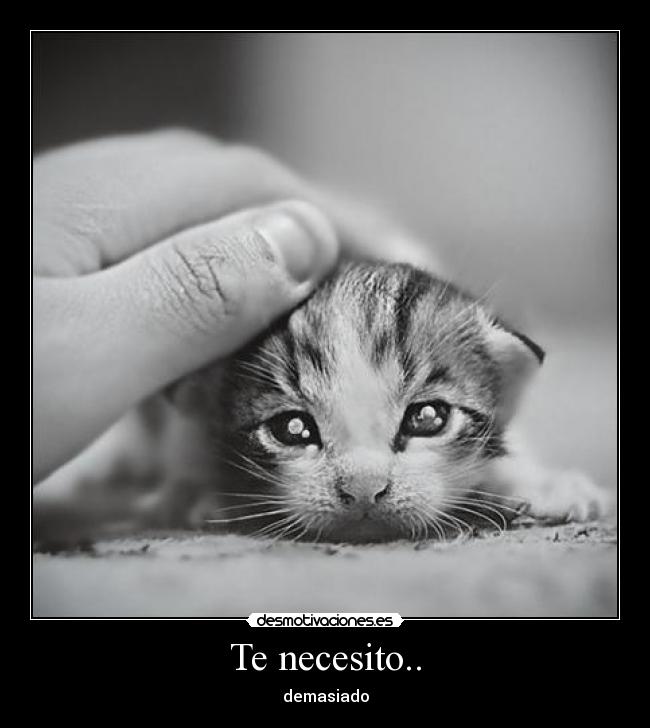 Te necesito.. - 