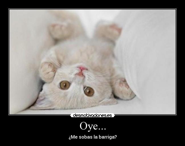 Oye... -