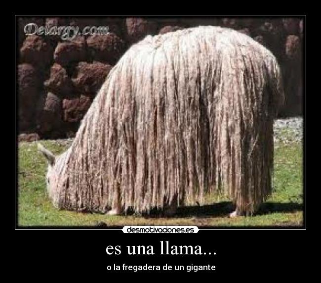 es una llama... -
