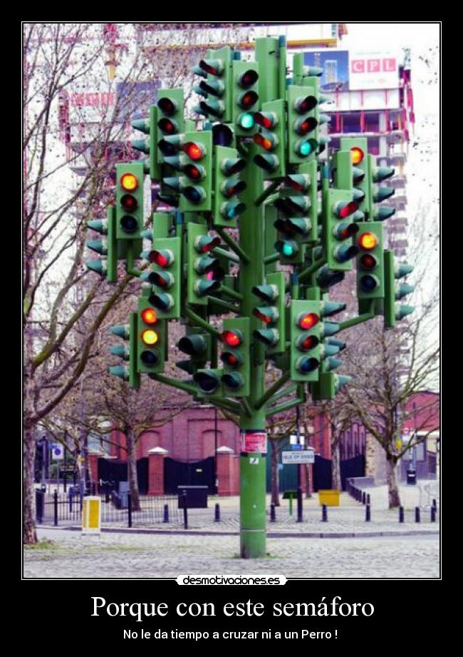 Porque con este semáforo - No le da tiempo a cruzar ni a un Perro ! 