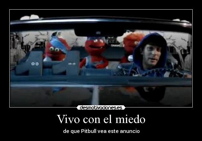 Vivo con el miedo - de que Pitbull vea este anuncio
