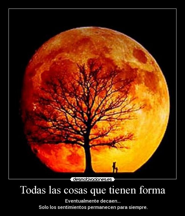 carteles todas las cossas que tienen forma desmotivaciones