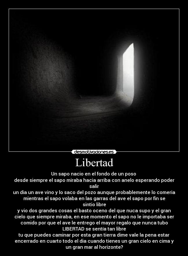 carteles libertad motiva desmotivaciones