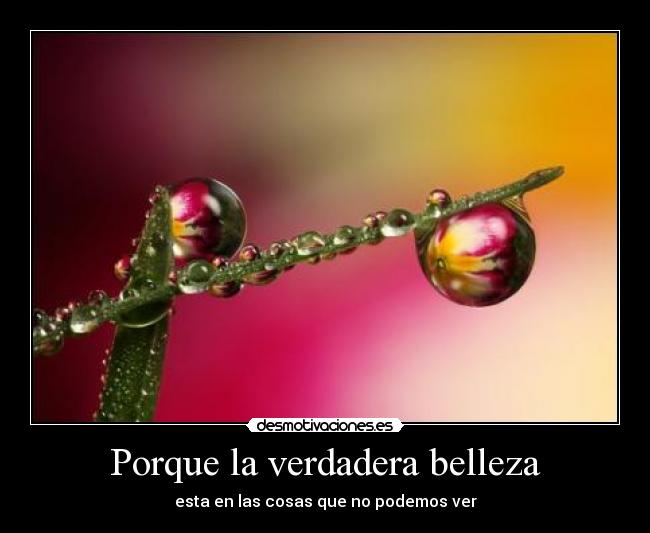 Porque la verdadera belleza - esta en las cosas que no podemos ver