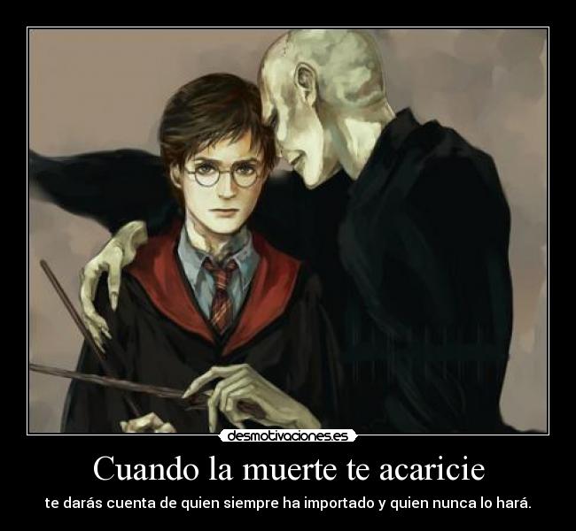 carteles muerte harry potter desmotivaciones