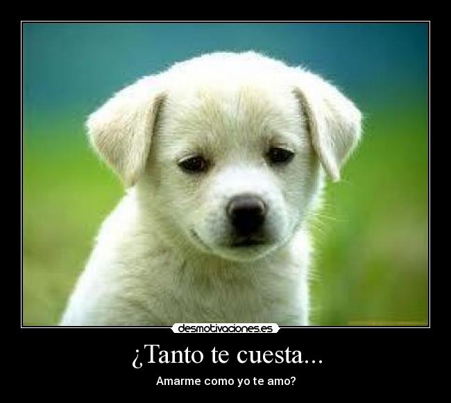 ¿Tanto te cuesta... -