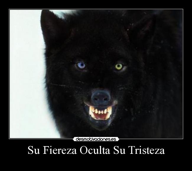 Su Fiereza Oculta Su Tristeza -