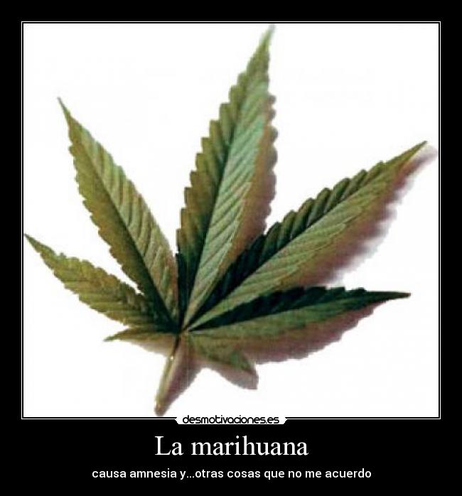 La marihuana -