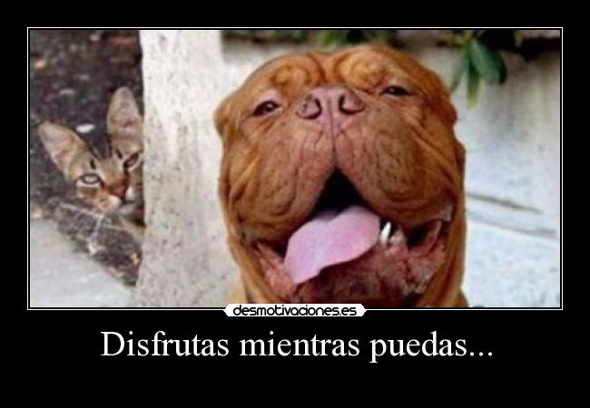 Disfrutas mientras puedas... - 