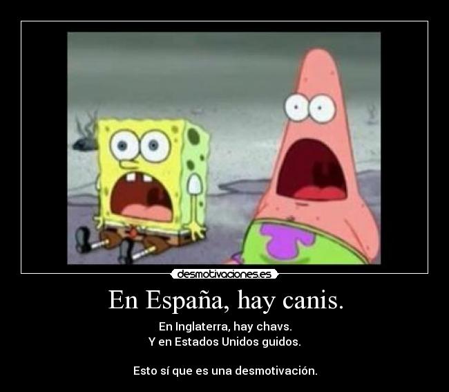 carteles espana canis desmotivaciones