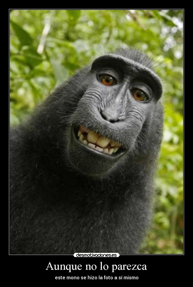 Aunque no lo parezca - 