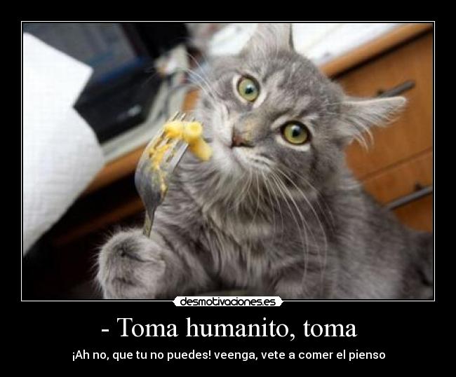 - Toma humanito, toma - ¡Ah no, que tu no puedes! veenga, vete a comer el pienso