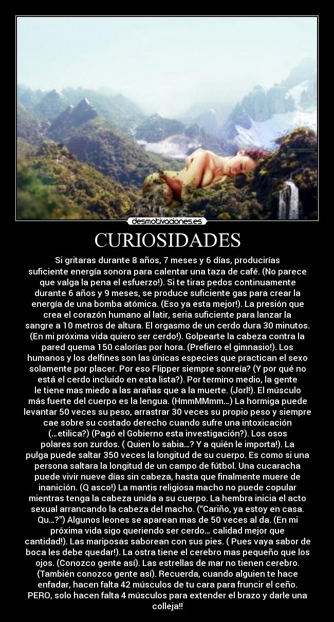CURIOSIDADES - 
