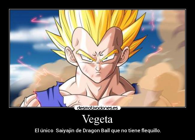 Vegeta - El único  Saiyajin de Dragon Ball que no tiene flequillo.