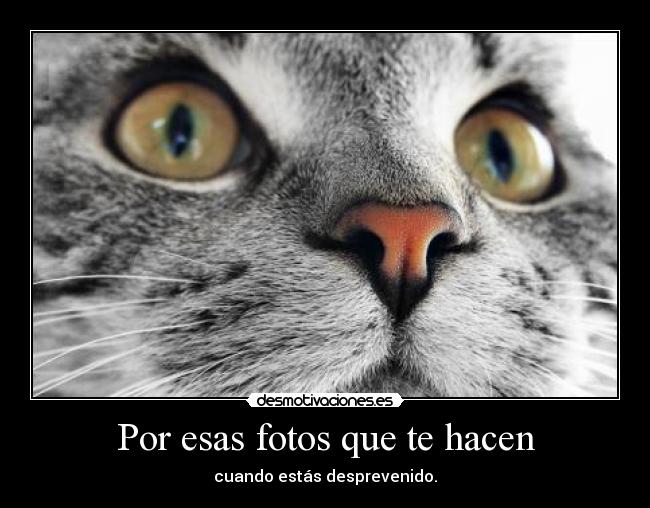 Por esas fotos que te hacen - cuando estás desprevenido.
