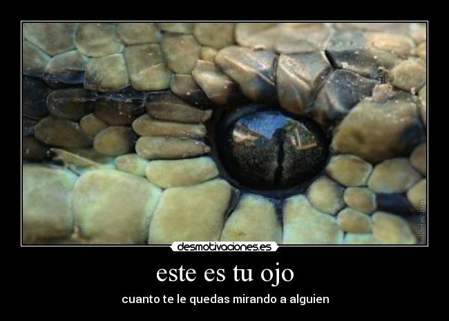 este es tu ojo - cuanto te le quedas mirando a alguien