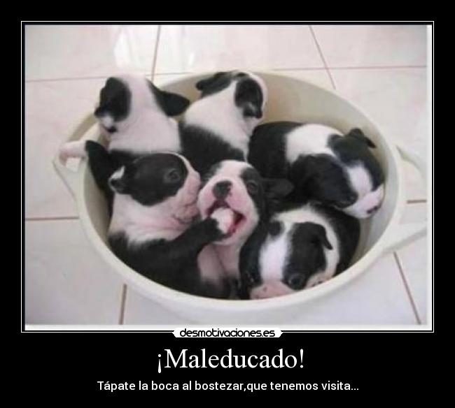 ¡Maleducado! - Tápate la boca al bostezar,que tenemos visita...