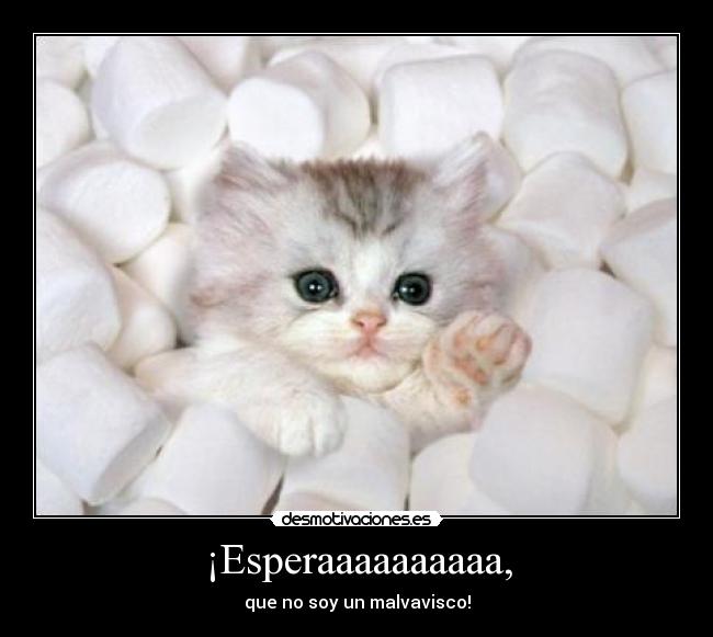 ¡Esperaaaaaaaaaa, - que no soy un malvavisco!