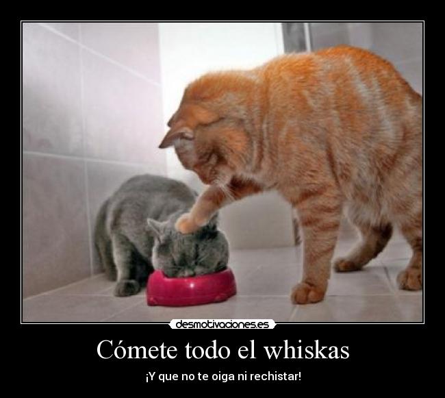 Cómete todo el whiskas - 