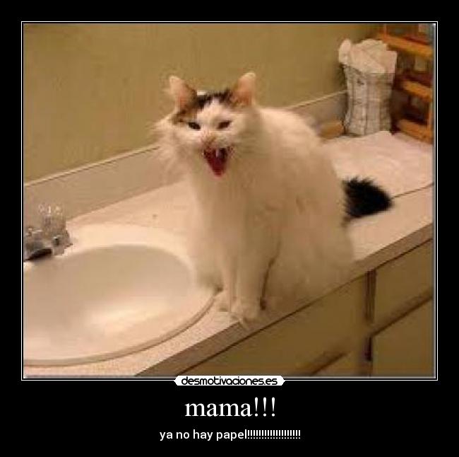 mama!!! - ya no hay papel!!!!!!!!!!!!!!!!!!!