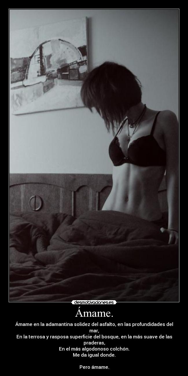 carteles amame desmotivaciones