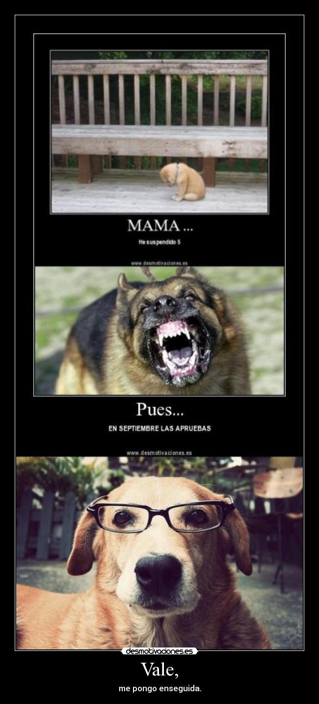 Vale, - me pongo enseguida.