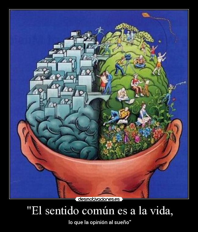El sentido común es a la vida, - lo que la opinión al sueño