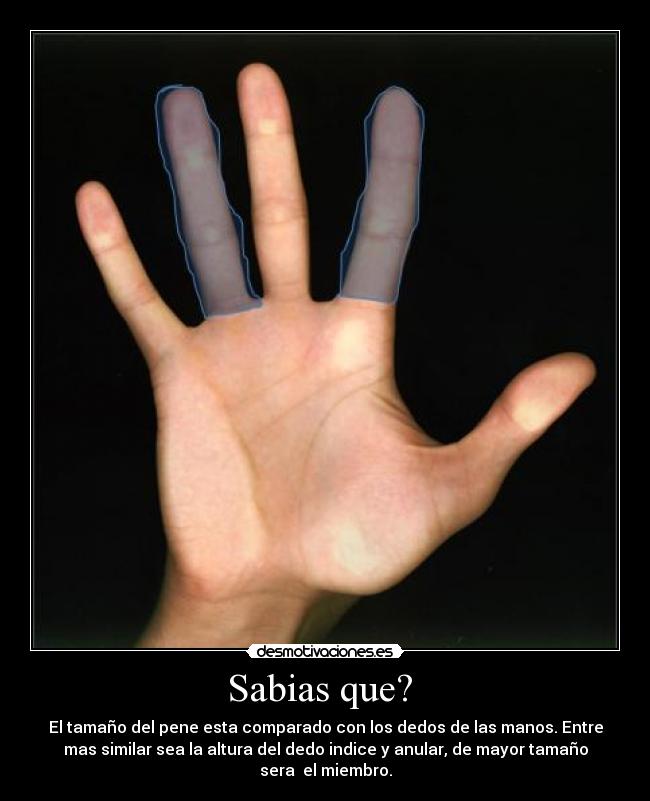 Sabias que?  - 