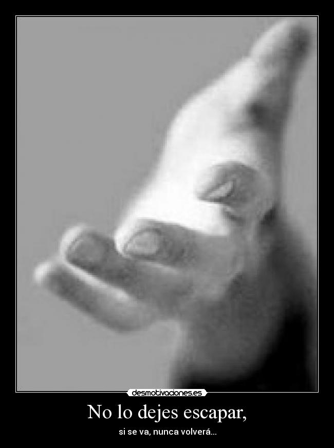 No lo dejes escapar, - 