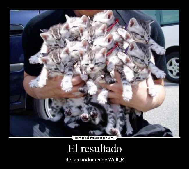 El resultado - de las andadas de Walt_K