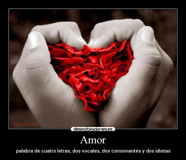 Amor - 