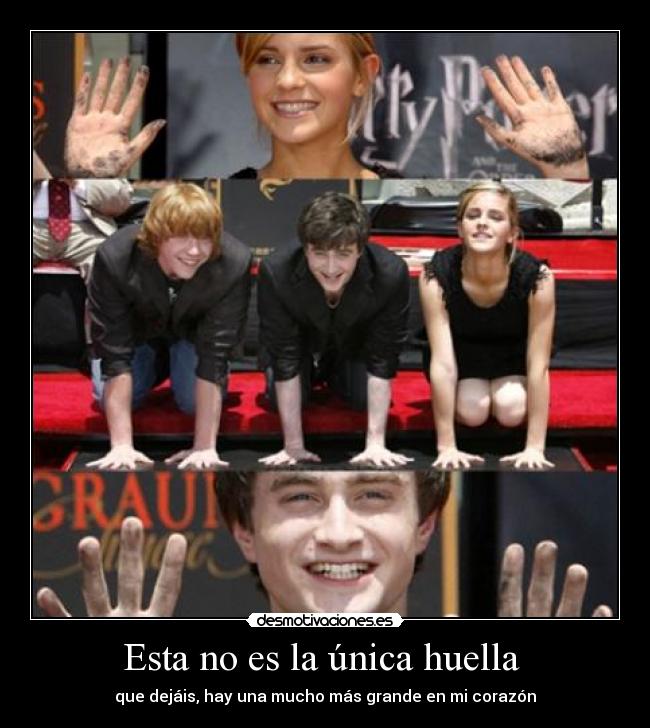 carteles harry potter daniel emma rupert huella unica corazon grint weasley radcliffe watson desmotivaciones