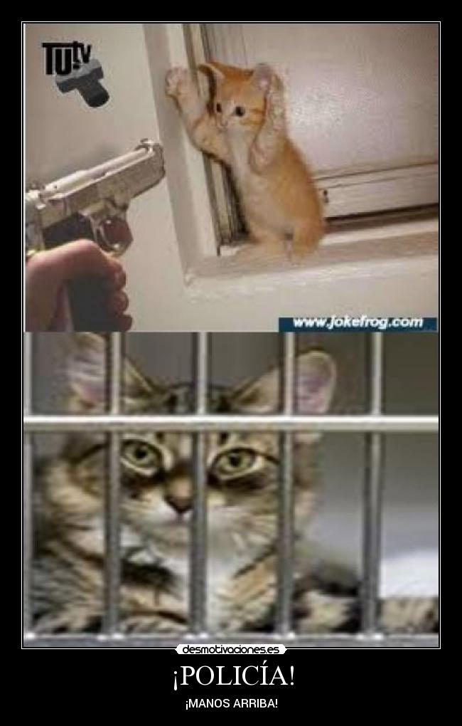 ¡POLICÍA! -