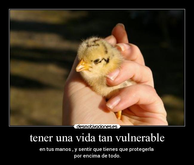 tener una vida tan vulnerable - 