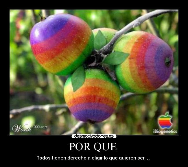 POR QUE - Todos tienen derecho a eligir lo que quieren ser . .