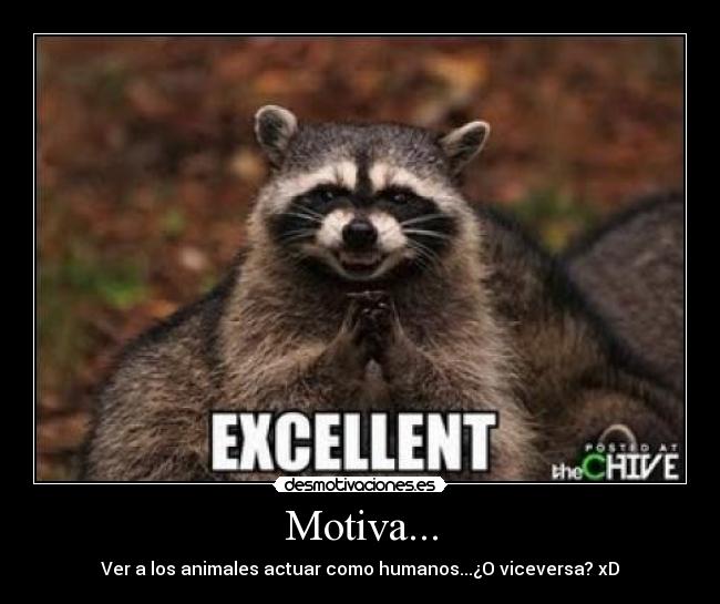 Motiva... -