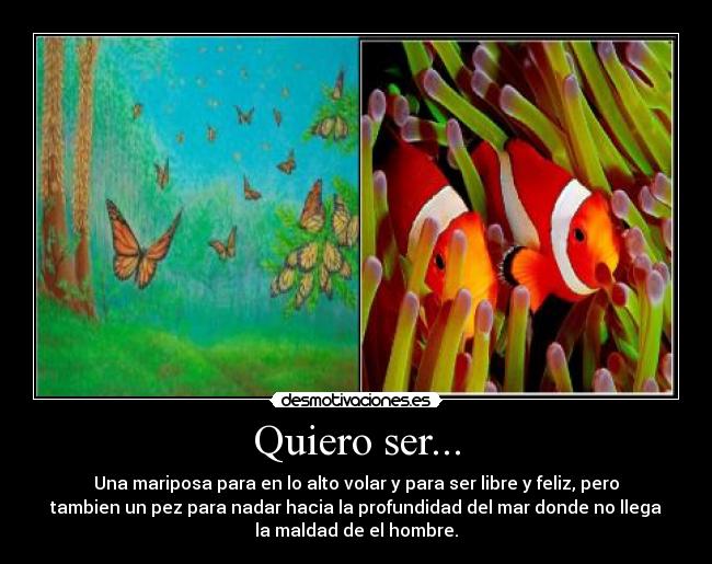 Quiero ser... - Una mariposa para en lo alto volar y para ser libre y feliz, pero
tambien un pez para nadar hacia la profundidad del mar donde no llega
la maldad de el hombre.