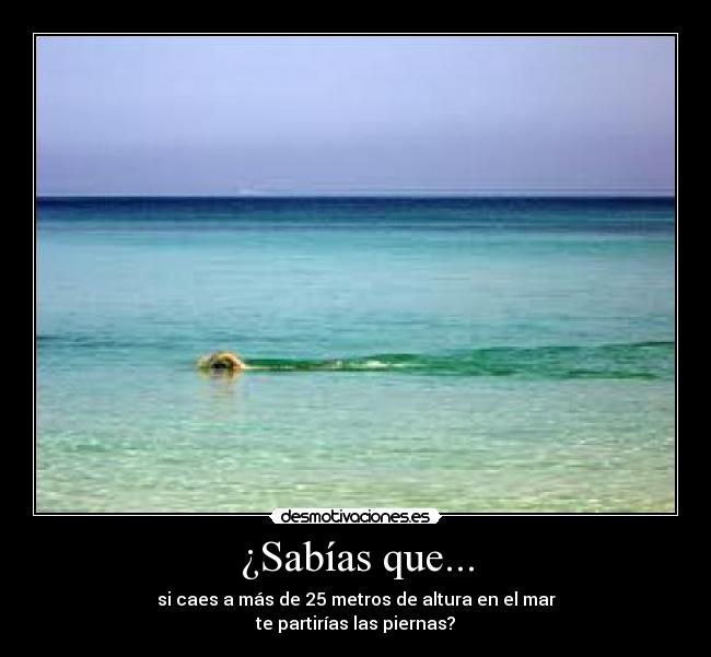 ¿Sabías que... - si caes a más de 25 metros de altura en el mar
te partirías las piernas?