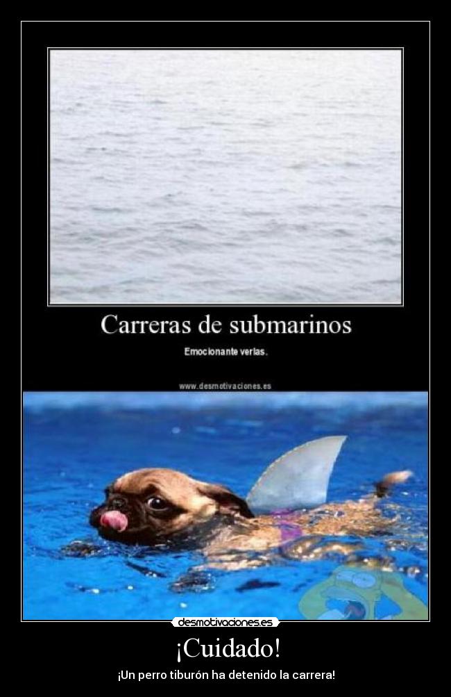 carteles submarino carrera perro homer tiburon desmotivaciones