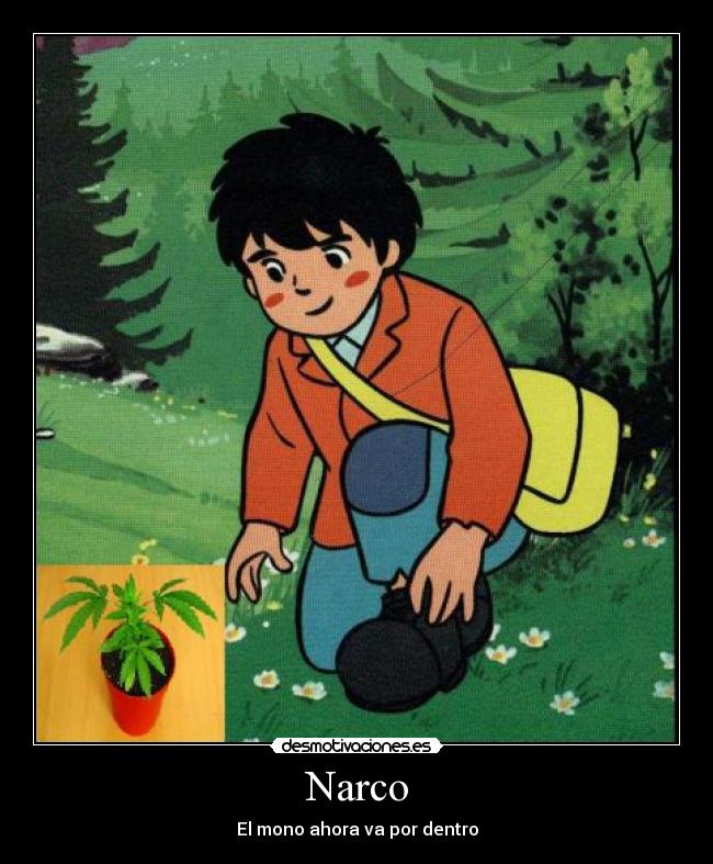 Narco - 