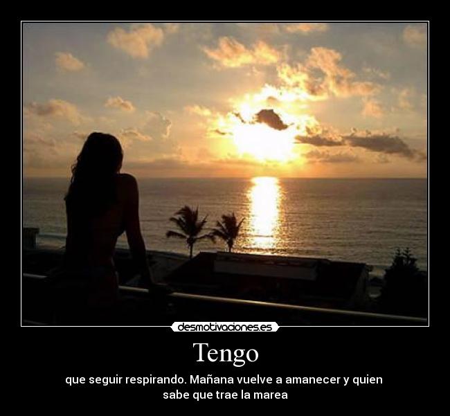 Tengo - 