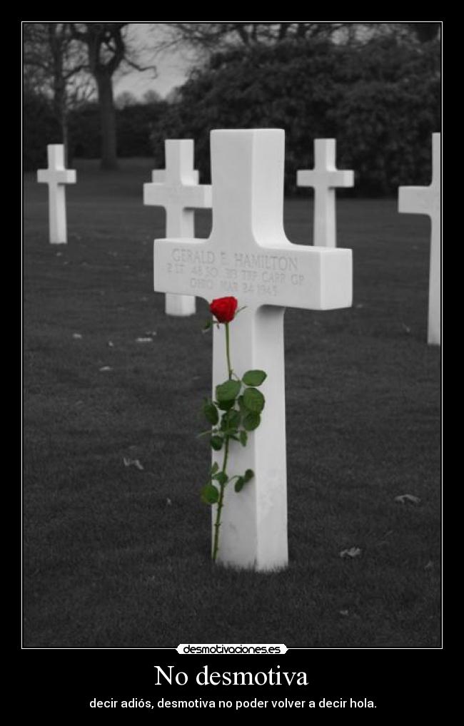 No desmotiva - decir adiós, desmotiva no poder volver a decir hola.