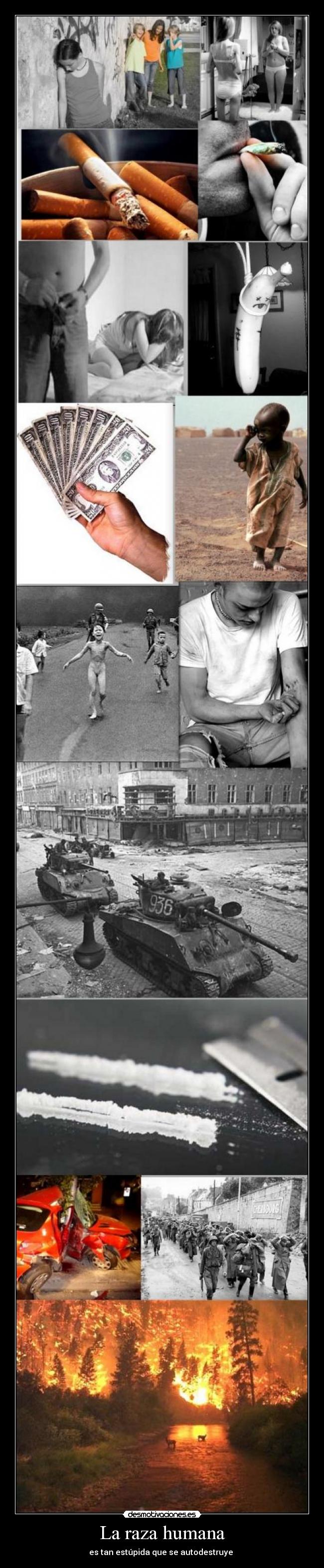La raza humana - es tan estúpida que se autodestruye 