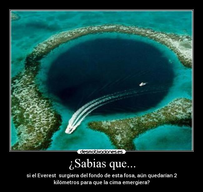 ¿Sabias que... -