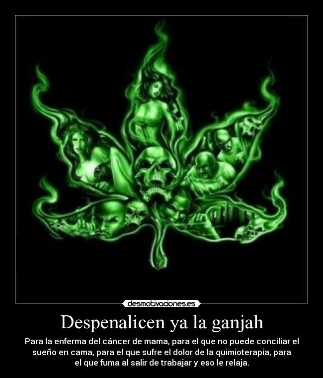 Despenalicen ya la ganjah - Para la enferma del cáncer de mama, para el que no puede conciliar el
sueño en cama, para el que sufre el dolor de la quimioterapia, para
el que fuma al salir de trabajar y eso le relaja.