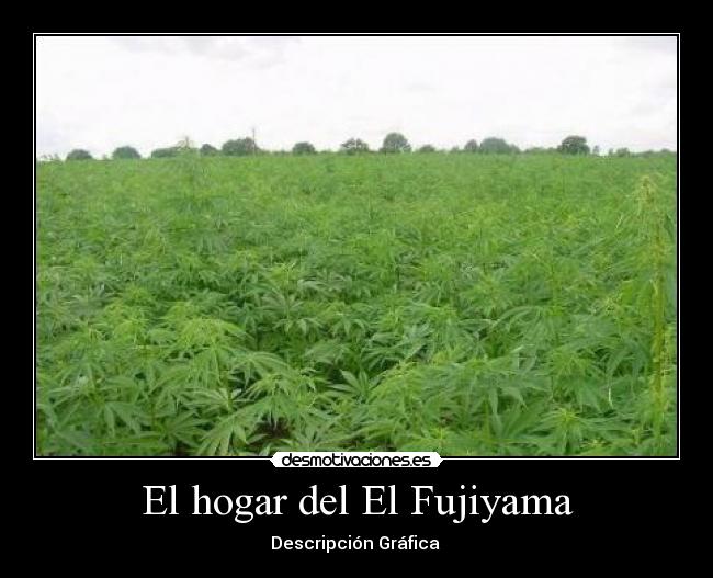 carteles descripcion grafica desmotivaciones