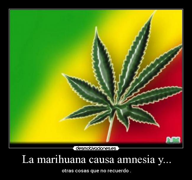 La marihuana causa amnesia y... - otras cosas que no recuerdo .