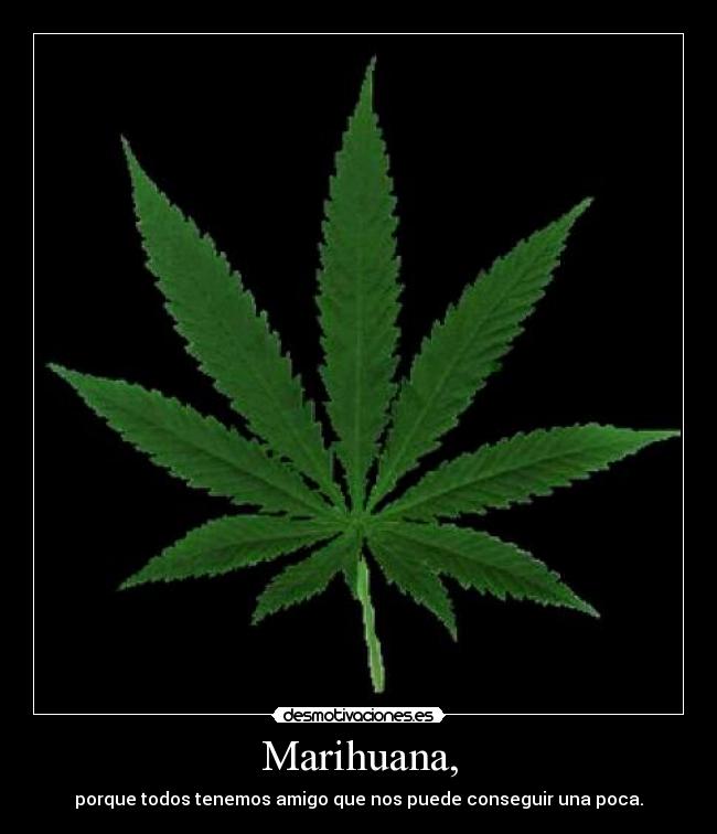 Marihuana, - 