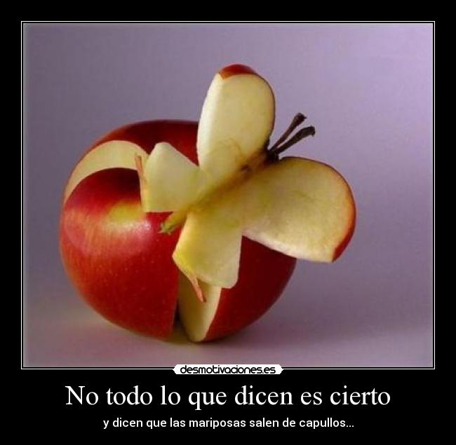 No todo lo que dicen es cierto -