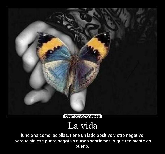 La vida - funciona como las pilas, tiene un lado positivo y otro negativo,
porque sin ese punto negativo nunca sabríamos lo que realmente es
bueno.